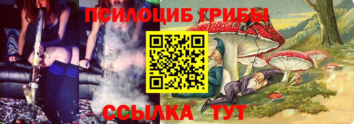 Галлюциногенные грибы мицелий  Вход с VPN  Менделеевск 