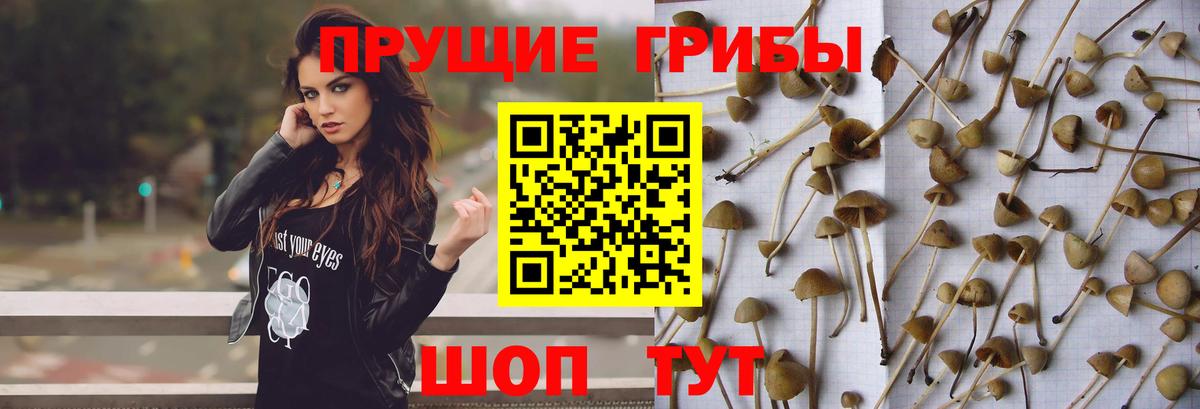 Псилоцибиновые грибы Magic Shrooms Менделеевск